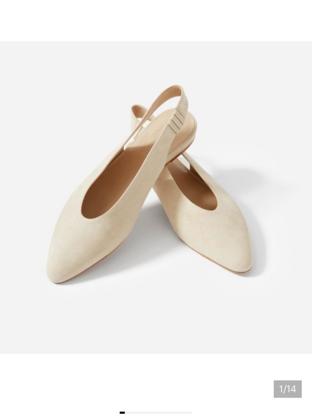 Everlane Pointed Slingback Flats in Light Beige